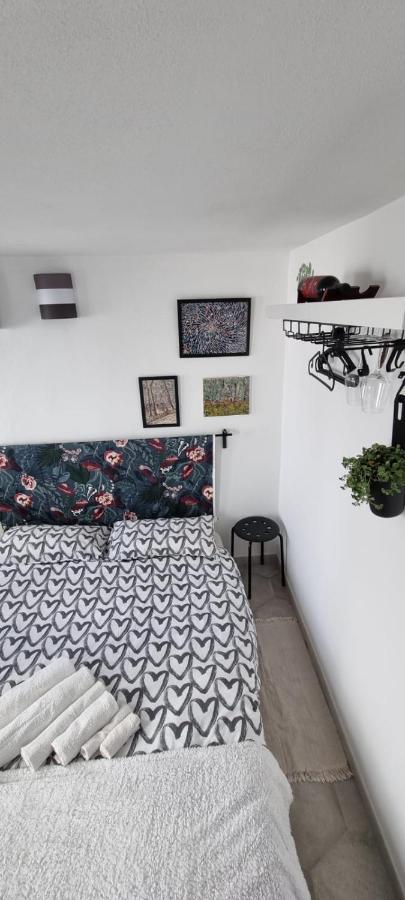 Garden Room Пиза Экстерьер фото