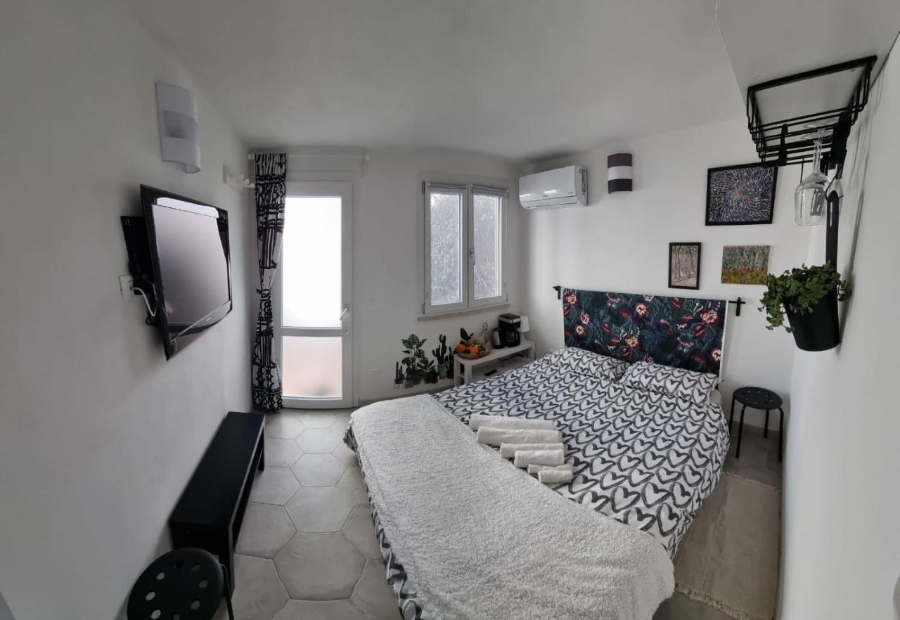 Garden Room Пиза Экстерьер фото
